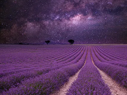 Deep Sleep - Feel Good  