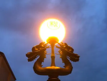 Deep Sleep For An Overactive Mind | Leaves On The Stream