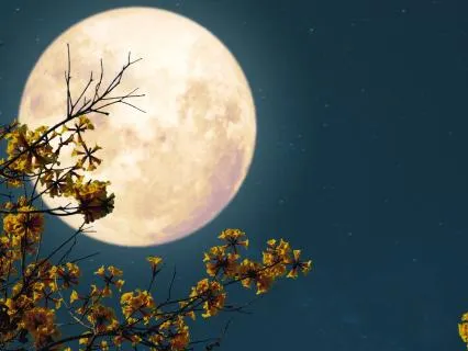 Deep Sleep For Overthinking Minds – Finally Switch Off