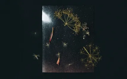 Deep Sleep For Pure Relaxation During Calm Night