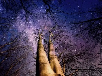 Deep Sleep For Pure Relaxation