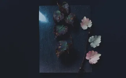 Deep Sleep For Your Body And Mindset 