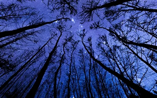 Deep Sleep: Force Release