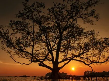 Deep Sleep Gong Bath Meditation Before Bedtime.