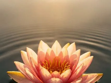 Deep Sleep - Growth, Love And Forgiveness | 8 Hours Healing