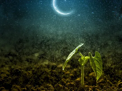 Deep Sleep - Growth, Love, And Forgiveness