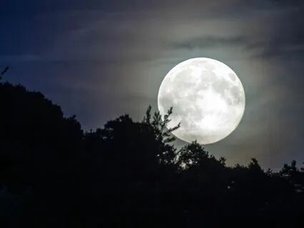 Deep Sleep - Guided Slumber