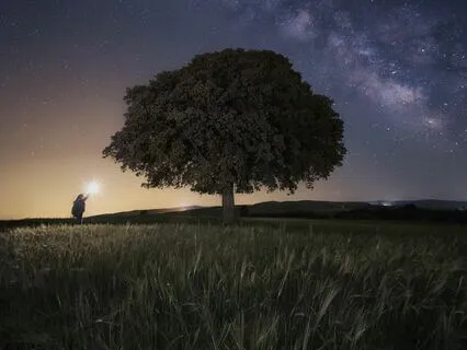 Deep Sleep Harmony: Drift Into Tranquility