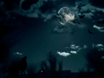 Deep Sleep - Have A Deep Sleep Through The Night