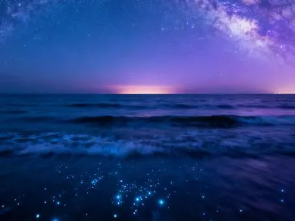 Deep Sleep & Healing | 528 Hz + 432 Hz Meditation Soundscape