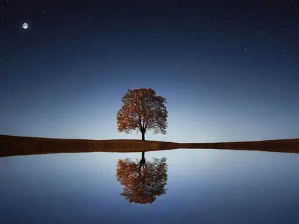 Deep Sleep  "Healing Flute"