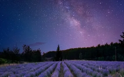 Deep Sleep Healing Music