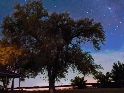 Deep Sleep - Healing Music With Delta Waves