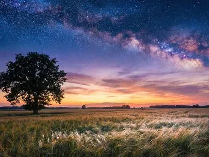 Deep Sleep - Healing Music