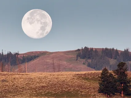 Deep Sleep - Healing The Body