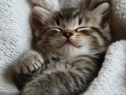 Deep Sleep & Healing Your Anxiety