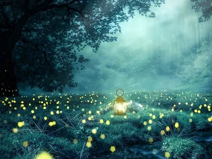 Deep Sleep - Imagery Rehearsal Of The Forest