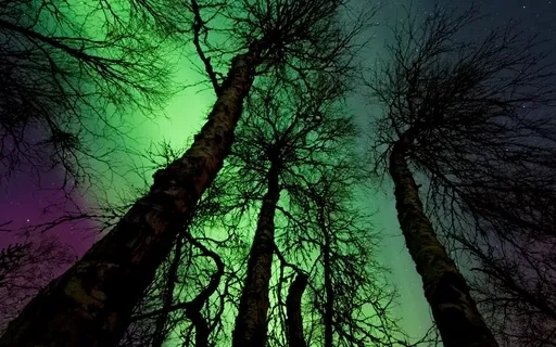 Deep Sleep - Improve Your Energy