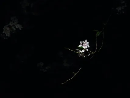 Deep Sleep In 10 Minutes - Day 3 - Stillness of Being