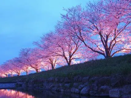 Deep Sleep In Japan | Crystal Singing Bowls | Nature Sounds