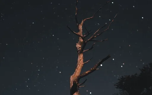 Deep Sleep: Inheriting Peace