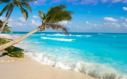 Deep Sleep Inner Peace With The Ocean