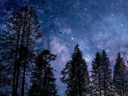 Deep Sleep - Inner Peace