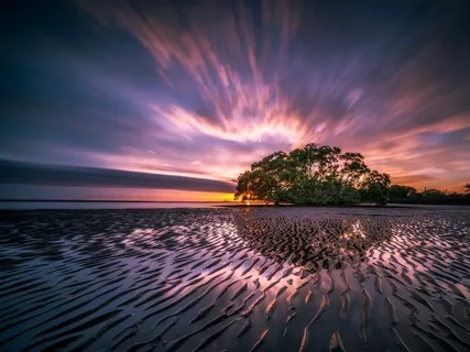 Deep Sleep - Inner Wisdom