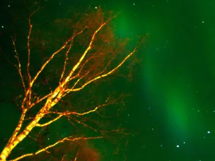 Deep Sleep - Instrumental Music For Relaxation 