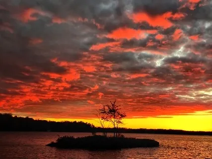 Deep Sleep Into Nature Sound Bath