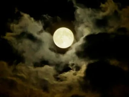 Journey From Gamma To Delta (Binaural)