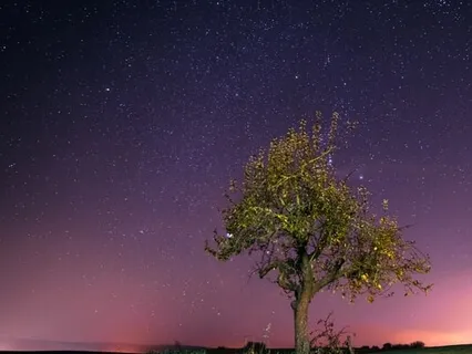 Deep Sleep - Let All Go