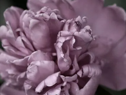 Deep Sleep: Let the Day Go