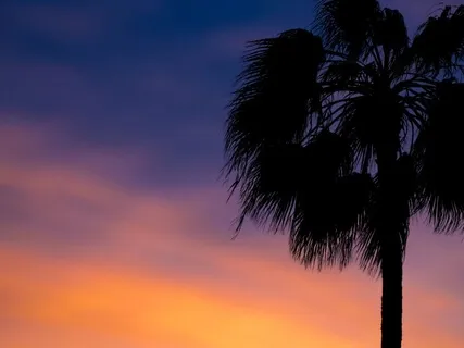 Deep Sleep - Love Vibration