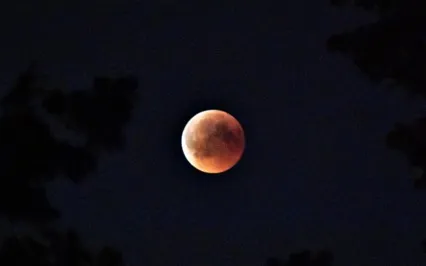  Deep Sleep - Lush Sleep