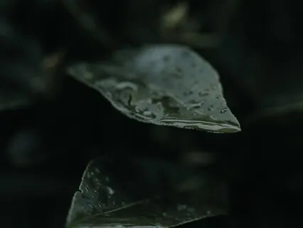 Drift Into A Deep Night's Sleep