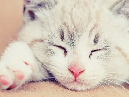 Deep Sleep Meditation: 3 Stages of Breath & Body Awareness