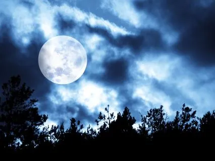 Deep Sleep Meditation (45 Minutes)