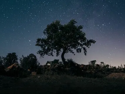 Deep Sleep Meditation & Affirmations: Inner Trust, Gratitude