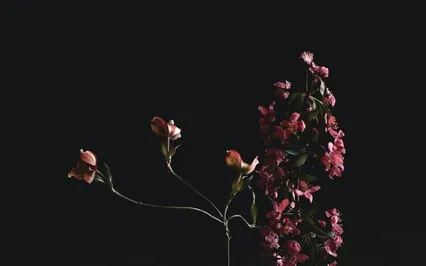 Deep Sleep Meditation At Night