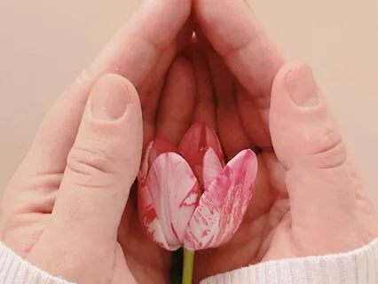 Deep Sleep Meditation: Energy Protection & Cleansing