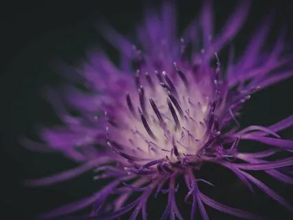 Deep Sleep Meditation For Depression & Anxiety