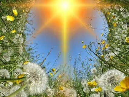 Deep Sleep Meditation For Manifesting Holistic Abundance