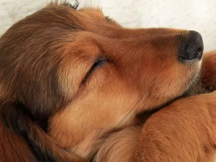 Deep Sleep Meditation For Peaceful Rest