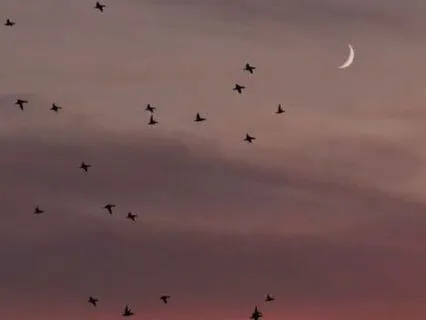 Deep Sleep Meditation For Self-Confidence And Self-Worth