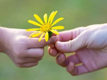 Deep Sleep Meditation: Inner Child Healing & Self Love