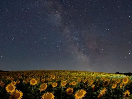 Deep Sleep Meditation: Manifest Career Success & Opportunity