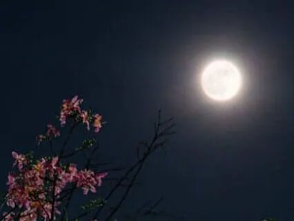 Deep Sleep Meditation (Peace, Confidence & Positivity)