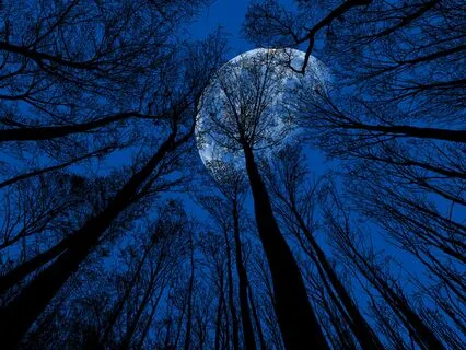 Deep Sleep - Meditation Soundscape