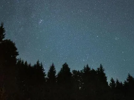 Deep Sleep Meditation With Calm Nature Sounds (10 Hours)